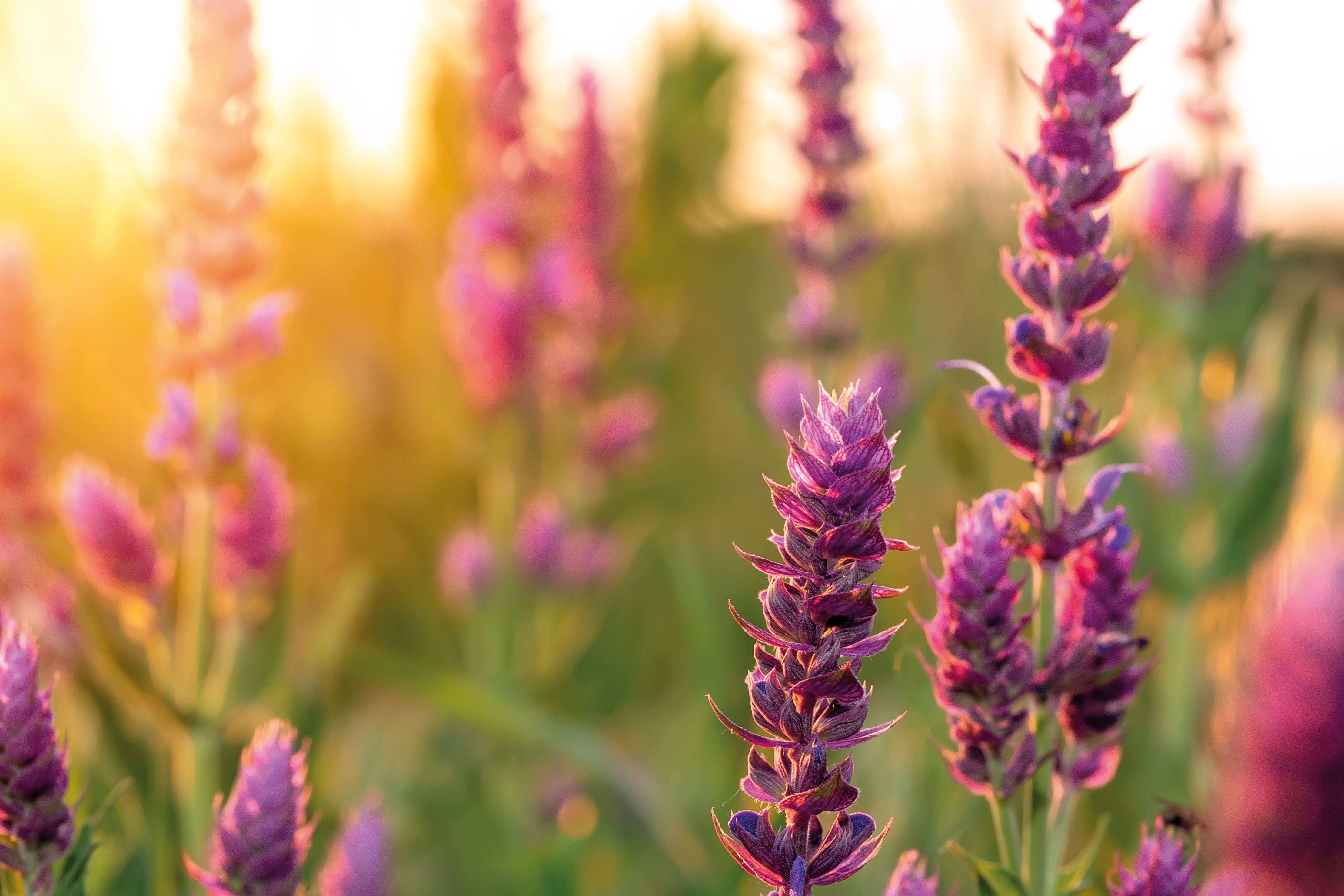 Quelle: © bymandesigns Adobe Stock